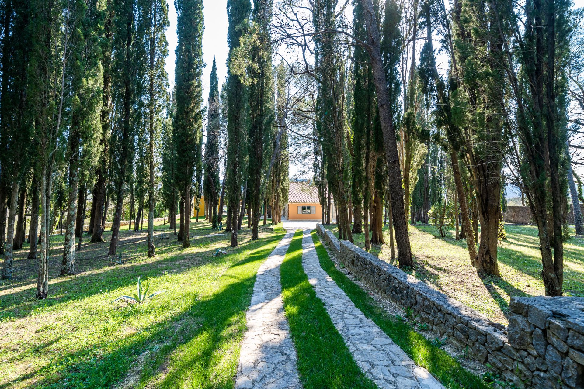 Villa Agave: Highlights
